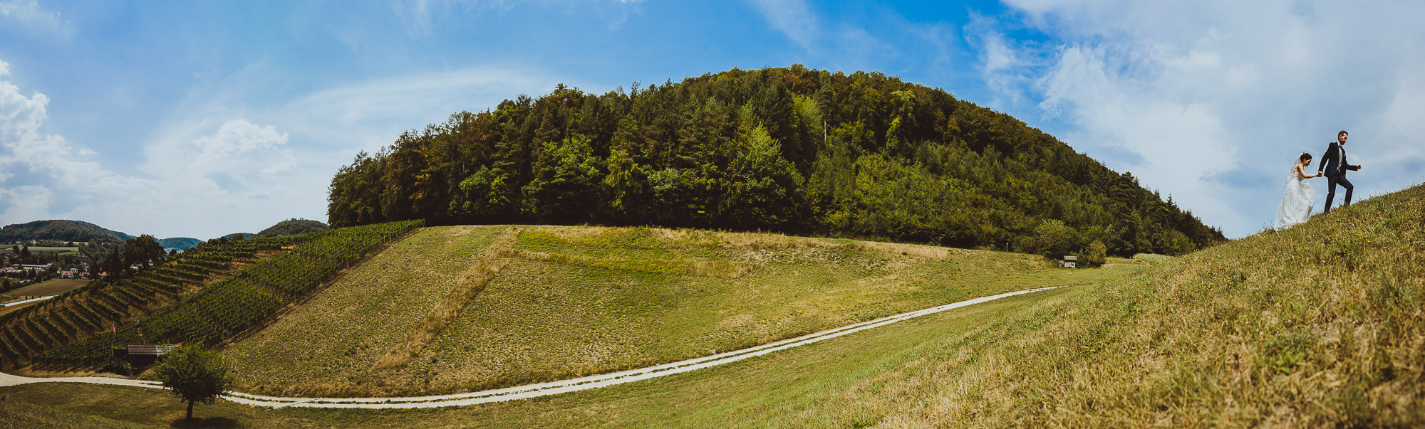 Export x3 1DX29795 Pano Hochzeit 2018 Rahele und Timo